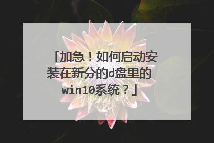 加急!如何启动安装在新分的d盘里的win10系统?