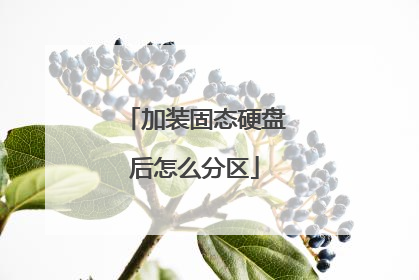 加装固态硬盘后怎么分区