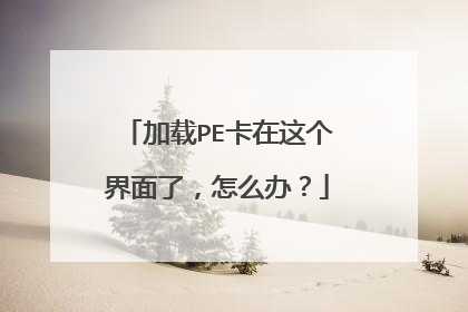 加载PE卡在这个界面了，怎么办？