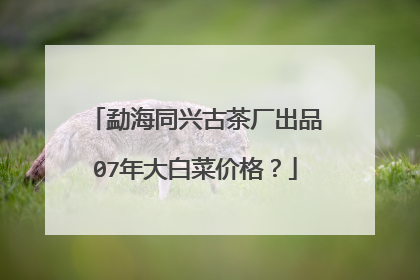 勐海同兴古茶厂出品07年大白菜价格？
