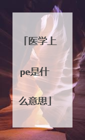 医学上pe是什么意思