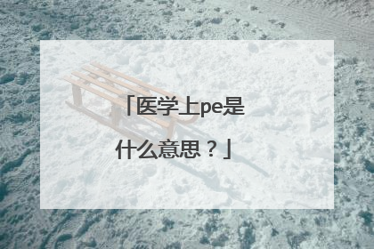 医学上pe是什么意思?
