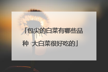 包尖的白菜有哪些品种 大白菜很好吃的