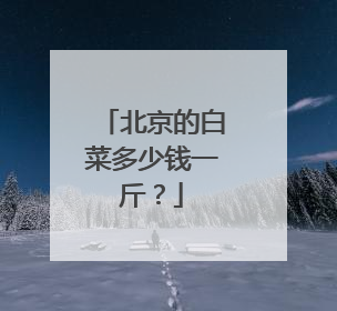 北京的白菜多少钱一斤？