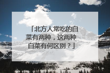 北方人常吃的白菜有两种,这两种白菜有何区别?