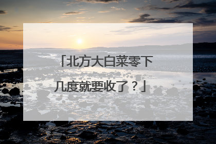 北方大白菜零下几度就要收了?