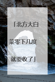 北方大白菜零下几度就要收了