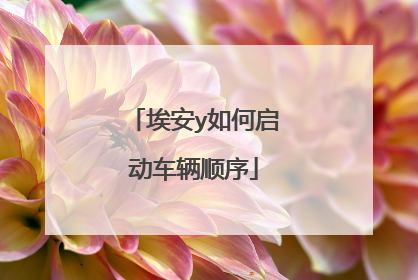 埃安y如何启动车辆顺序