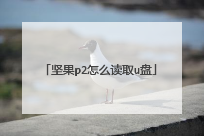 坚果p2怎么读取u盘