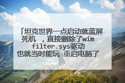 坦克世界一点启动就蓝屏死机 ,直接删除了wimfilter.sys驱动也就当时能玩 重启电脑了又 是老样子死机