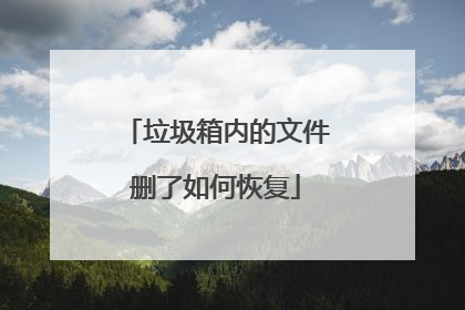 垃圾箱内的文件删了如何恢复