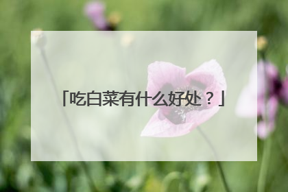 吃白菜有什么好处?