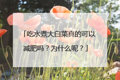 吃水煮大白菜真的可以减肥吗？为什么呢？