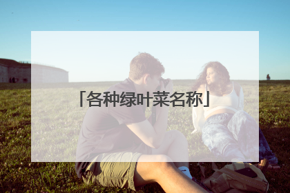 各种绿叶菜名称