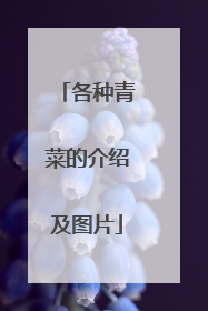 各种青菜的介绍及图片