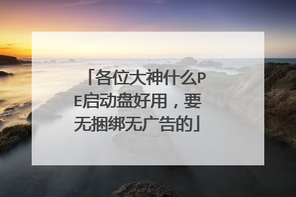 各位大神什么PE启动盘好用,要无捆绑无广告的