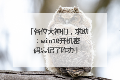 各位大神们，求助：win10开机密码忘记了咋办