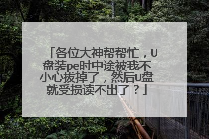 各位大神帮帮忙,U盘装pe时中途被我不小心拔掉了,然后U盘就受损读不出了?