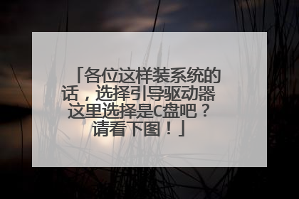 各位这样装系统的话,选择引导驱动器这里选择是C盘吧?请看下图!