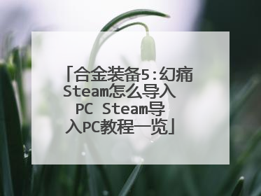 合金装备5:幻痛Steam怎么导入PC Steam导入PC教程一览