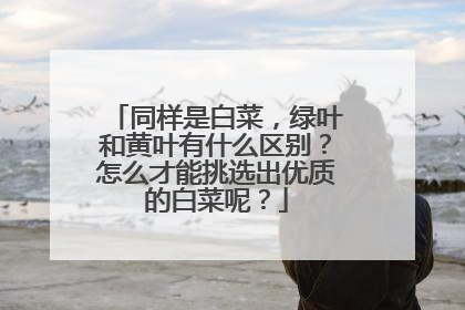 同样是白菜，绿叶和黄叶有什么区别？怎么才能挑选出优质的白菜呢？