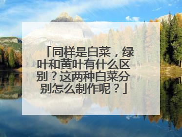 同样是白菜,绿叶和黄叶有什么区别?这两种白菜分别怎么制作呢?