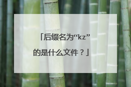 后缀名为“kz”的是什么文件?