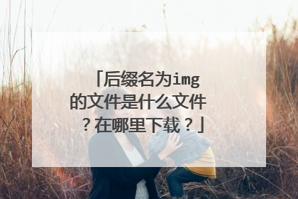 后缀名为img的文件是什么文件?在哪里下载?