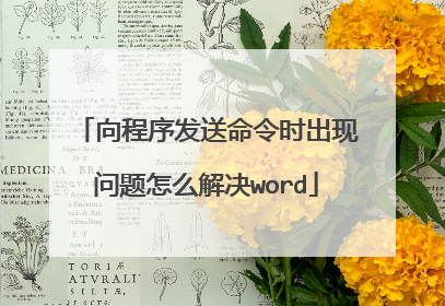向程序发送命令时出现问题怎么解决word
