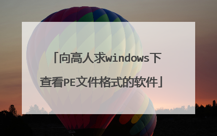 向高人求windows下查看PE文件格式的软件