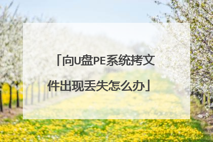 向U盘PE系统拷文件出现丢失怎么办