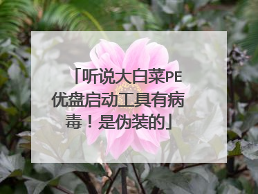 听说大白菜PE优盘启动工具有病毒！是伪装的