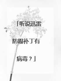 听说迅雷防踢补丁有病毒?