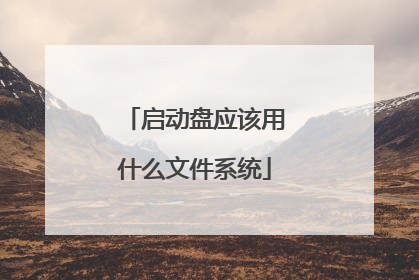 启动盘应该用什么文件系统