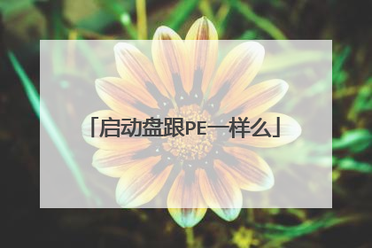 启动盘跟PE一样么