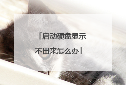 启动硬盘显示不出来怎么办