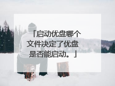 启动优盘哪个文件决定了优盘是否能启动。