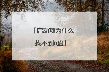 启动项为什么找不到u盘