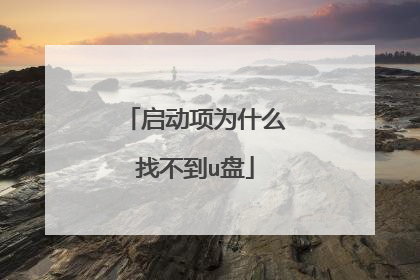 启动项为什么找不到u盘