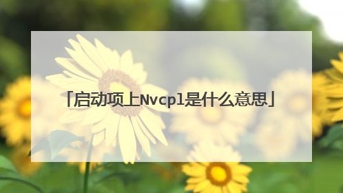 启动项上Nvcpl是什么意思