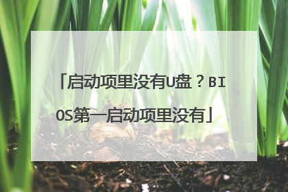 启动项里没有U盘?BIOS第一启动项里没有