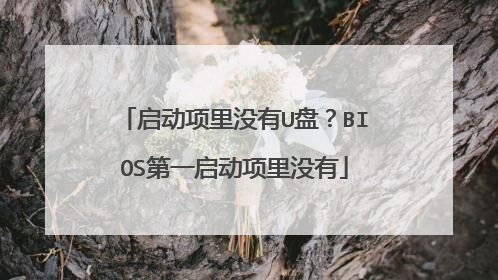 启动项里没有U盘？BIOS第一启动项里没有