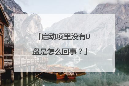 启动项里没有U盘是怎么回事?