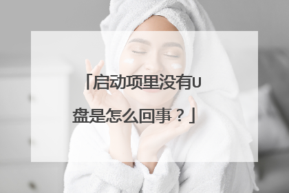 启动项里没有U盘是怎么回事?