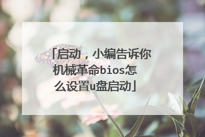 启动,小编告诉你机械革命bios怎么设置u盘启动