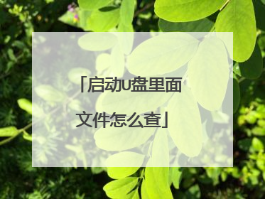 启动U盘里面文件怎么查