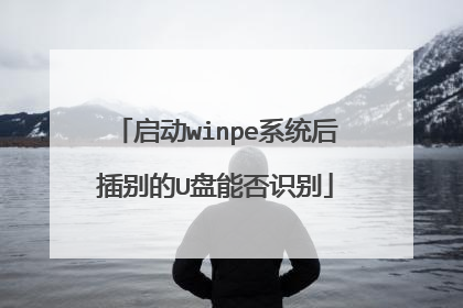 启动winpe系统后插别的U盘能否识别