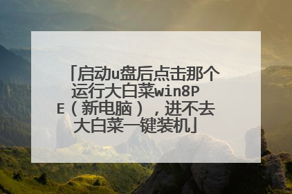 启动u盘后点击那个运行大白菜win8PE(新电脑),进不去大白菜一键装机