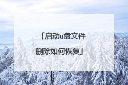 启动u盘文件删除如何恢复