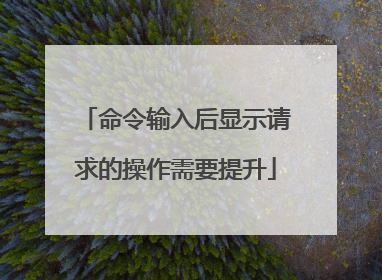 命令输入后显示请求的操作需要提升
